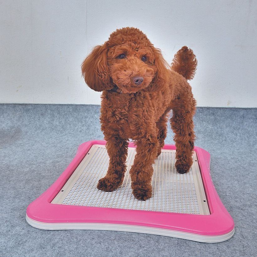 撮影／佐藤正之