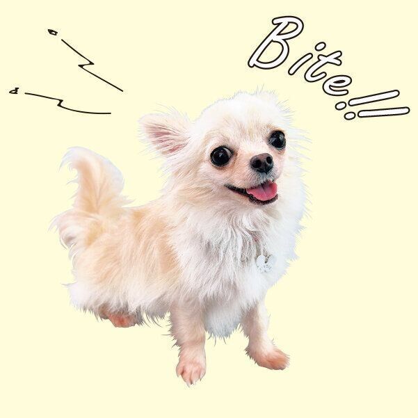 撮影／佐藤正之