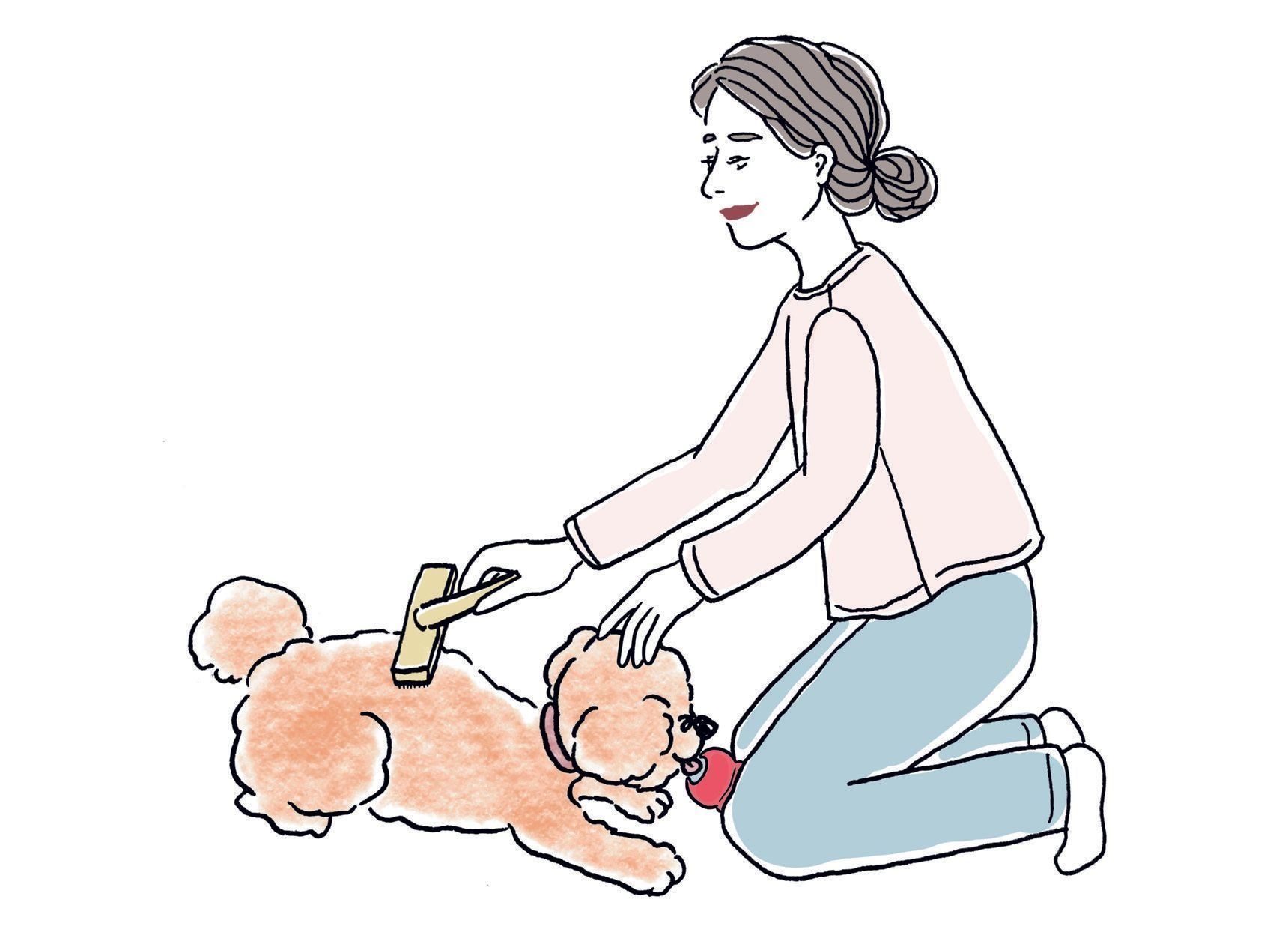 おやつを詰めたゴム製おもちゃを足で押さえるか、もしくはサークルの柵にはさみこみます。愛犬がそれを夢中でなめている隙に、ブラッシングや足拭きなどのお手入れを（イラスト／iina）