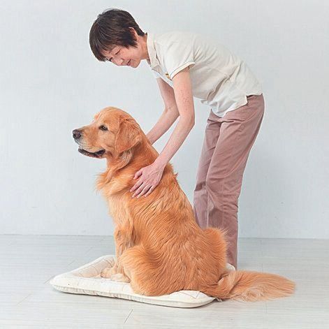 撮影／伊東武志