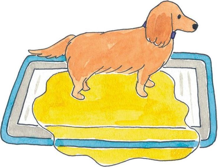 イラスト/今井夏子