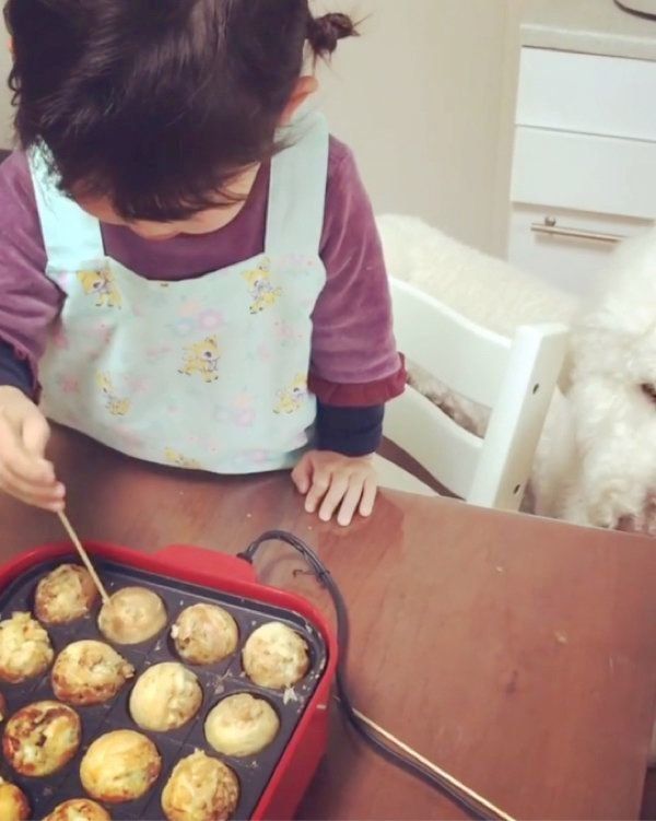 スタンダード・プードルと女の子