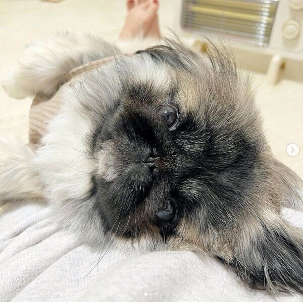 まったりするモブくん