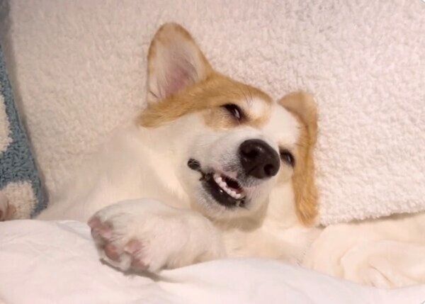 気持ちよさそうに眠るつむぎちゃん