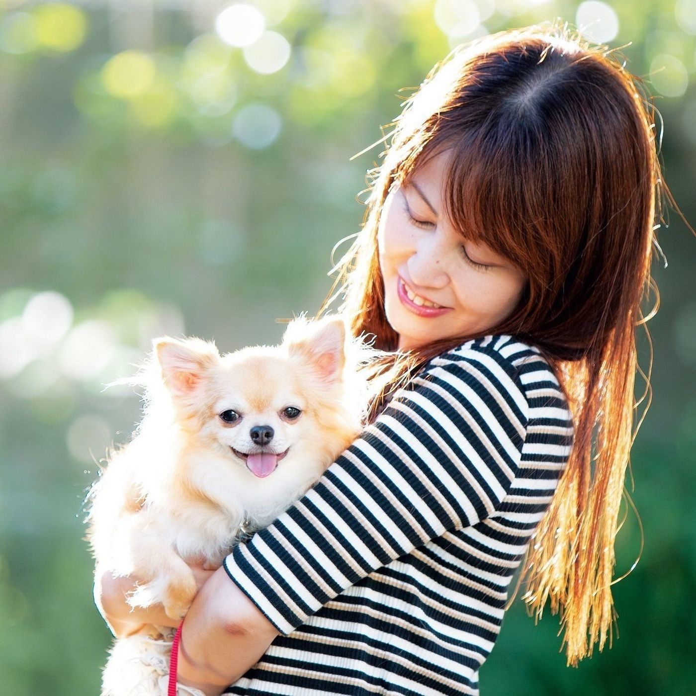 番犬扱い はもう古い 昭和 平成と変化した日本の家庭犬 令和は いぬのきもちweb Magazine 番犬扱い はもう古い 昭和 平成と変化した日本の家庭犬 令和は いぬのきもちweb Magazine