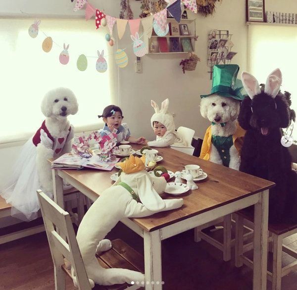 大集合するくぅさん・りっくん・がっくん・まめちゃん・むぎくん