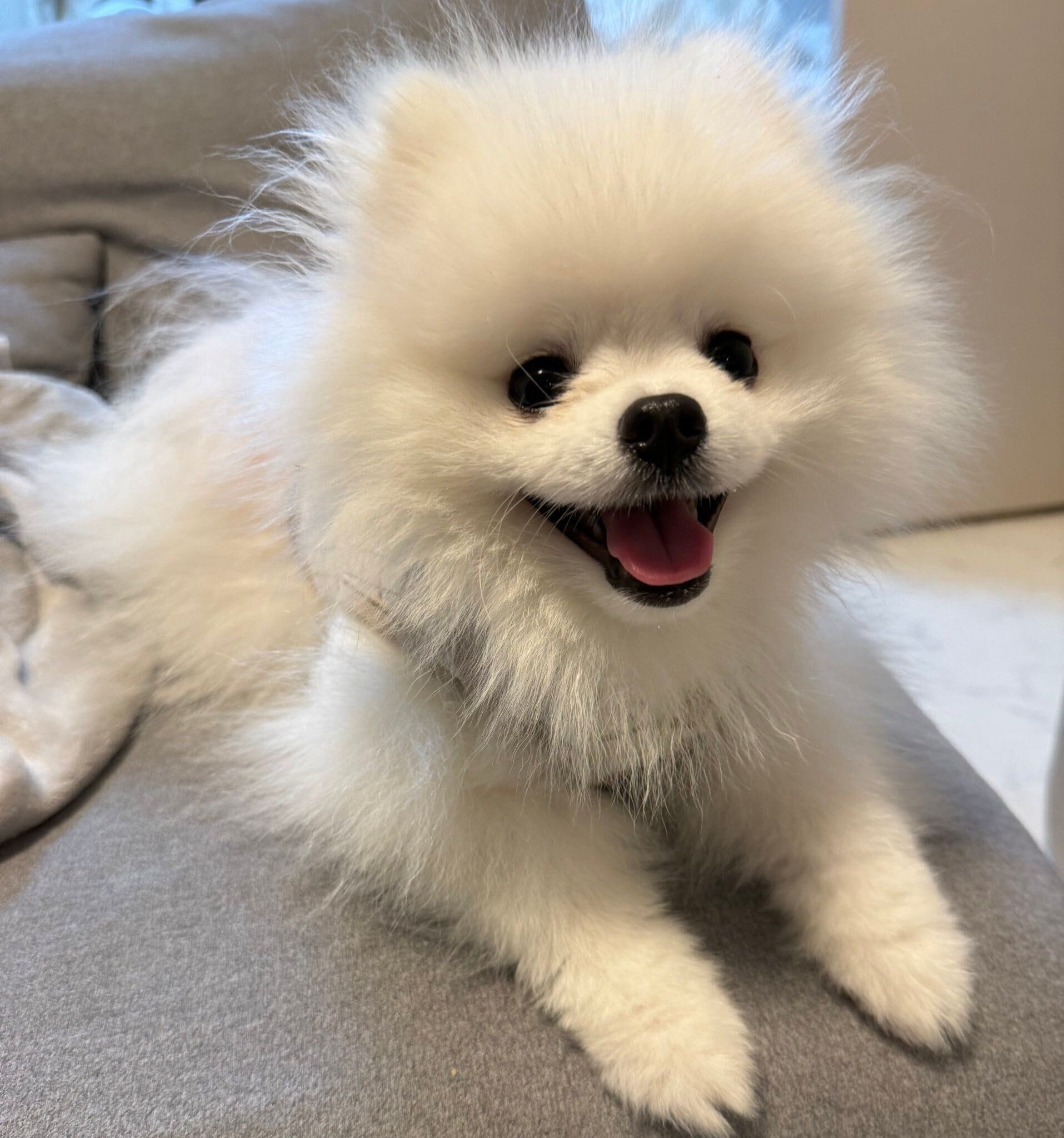 笑顔が可愛いくま太くん