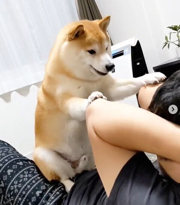 腹筋トレーニングのお手伝いをする福来くん