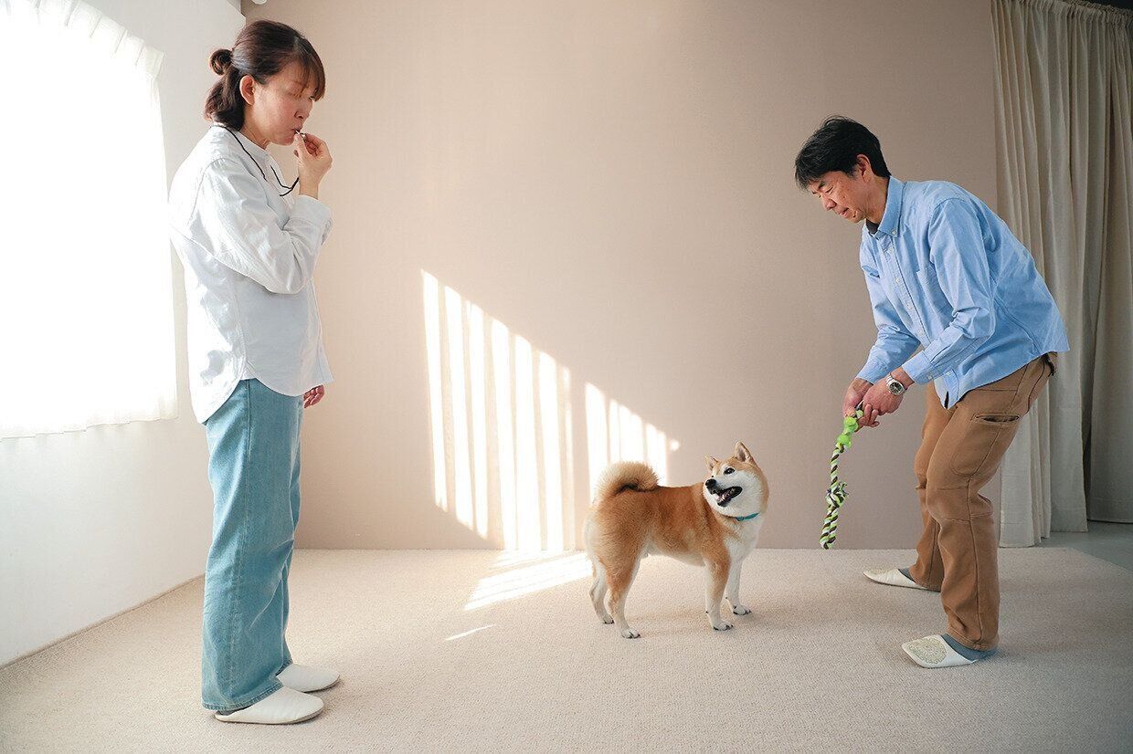 笛で愛犬を呼ぶ飼い主