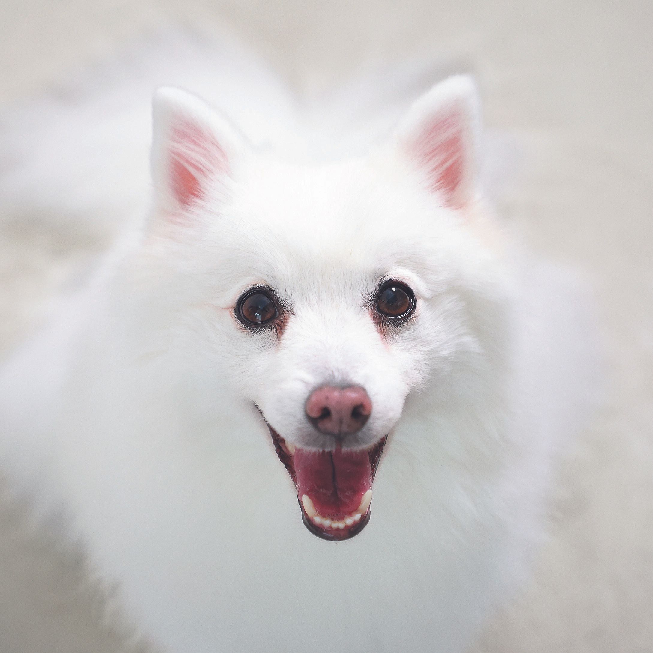 撮影／尾﨑たまき