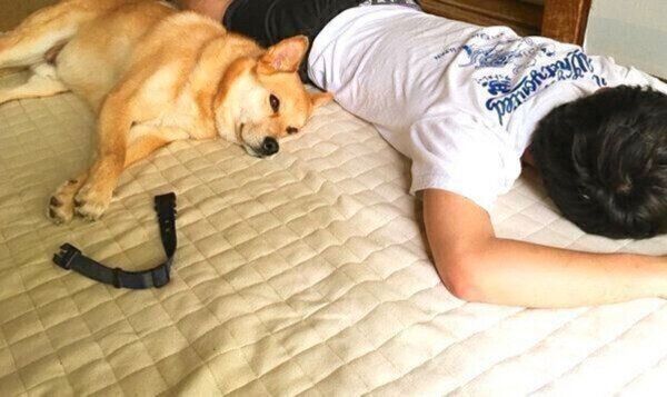 くつろぐ福くんと長男