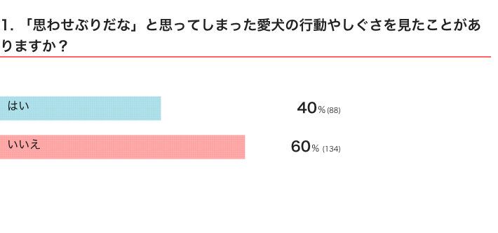 いぬのきもちWEB MAGAZINE　「犬飼いあるある」に関するアンケートvol.13