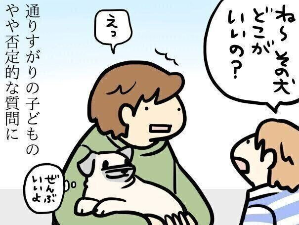 【連載】パグ犬・めー vol.128