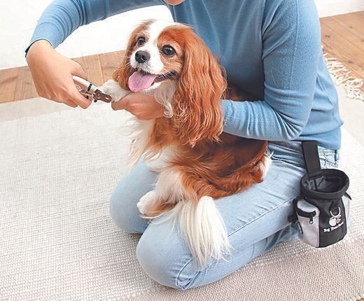 爪を１本切ったら……