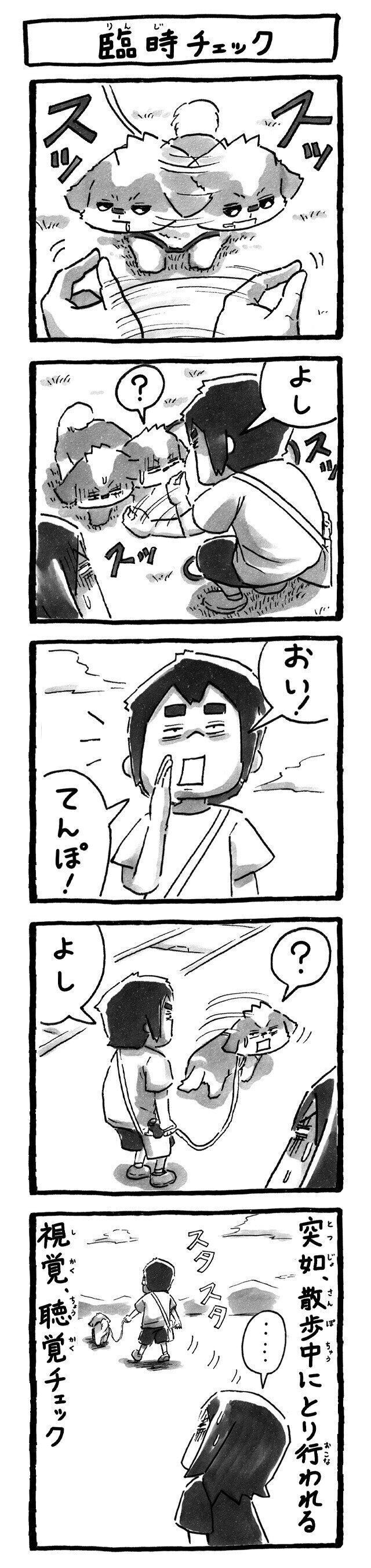 シーズー犬マンガてんぽshihtzu