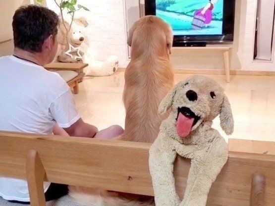 パパさんと「アルプスの少女ハイジ」を鑑賞するアランくん