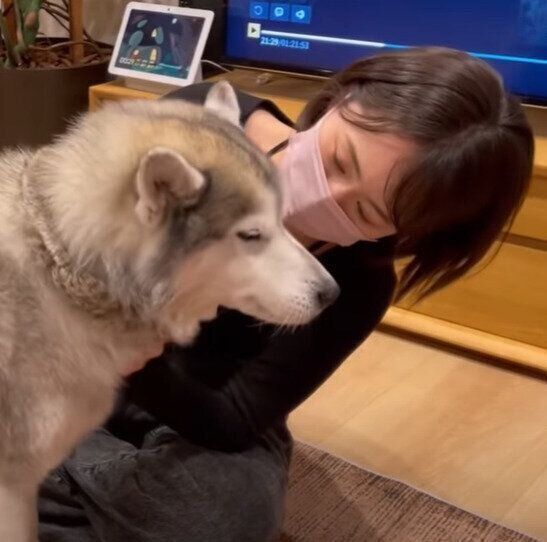 眠たい文太くん