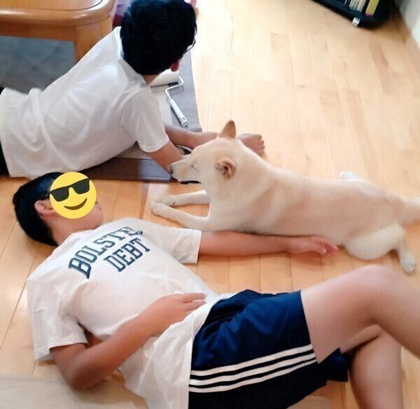 息子さんにくっつくしろ子ちゃん