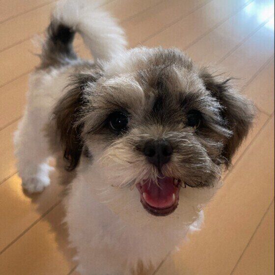 元気なおもちちゃん