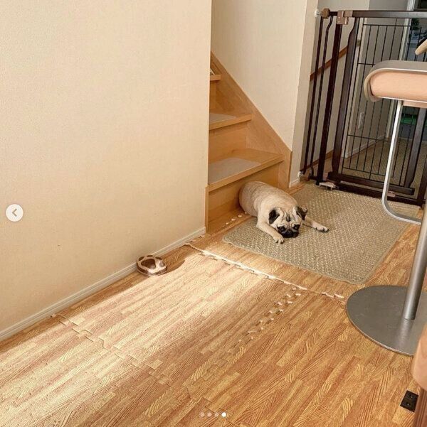 ふてくされるラルくん