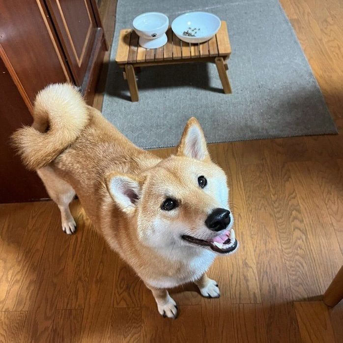 笑顔が可愛いろんくん
