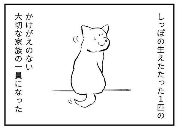 『たまさんちのホゴイヌ』　CHAPTER6 シロさん