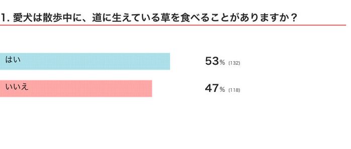 愛犬は散歩中に、道に生えている草を食べることがある?