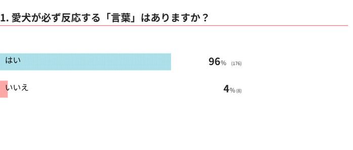 愛犬が必ず反応する「言葉」はありますか?