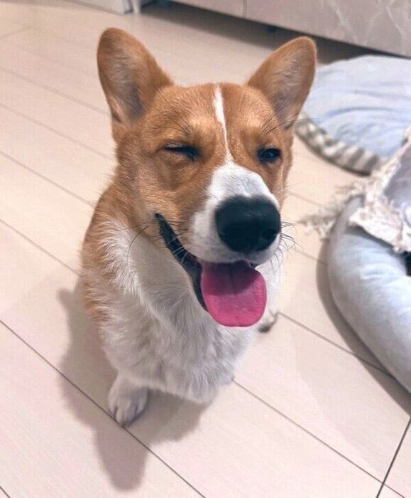 笑顔のウィンストンくん