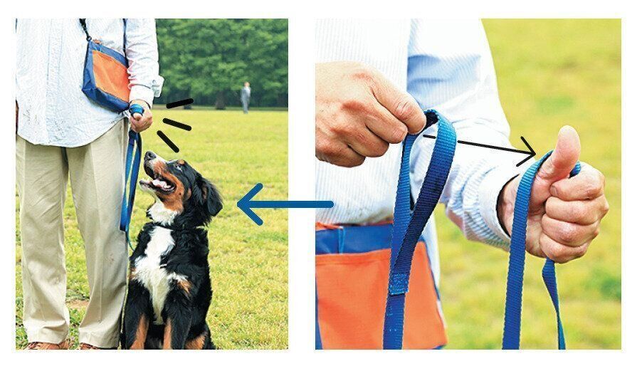 撮影／尾﨑たまき