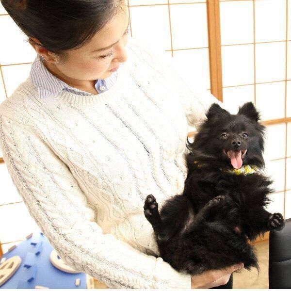 足に負担をかけないよう、抱っこはあおむけスタイル。大好きな久美さんに抱っこされて、安心して全身を預けています（撮影／尾﨑たまき）