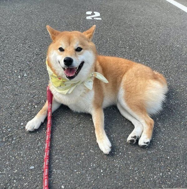 ちろちゃん専用ページ♡ - .jp