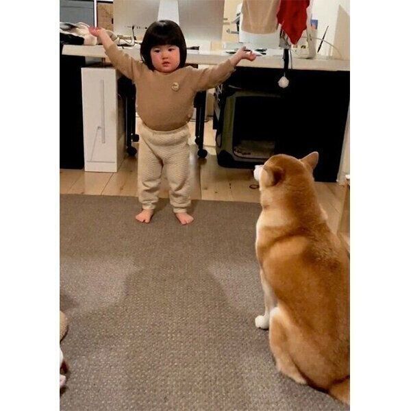 動かずにじっと見守るまるこちゃん
