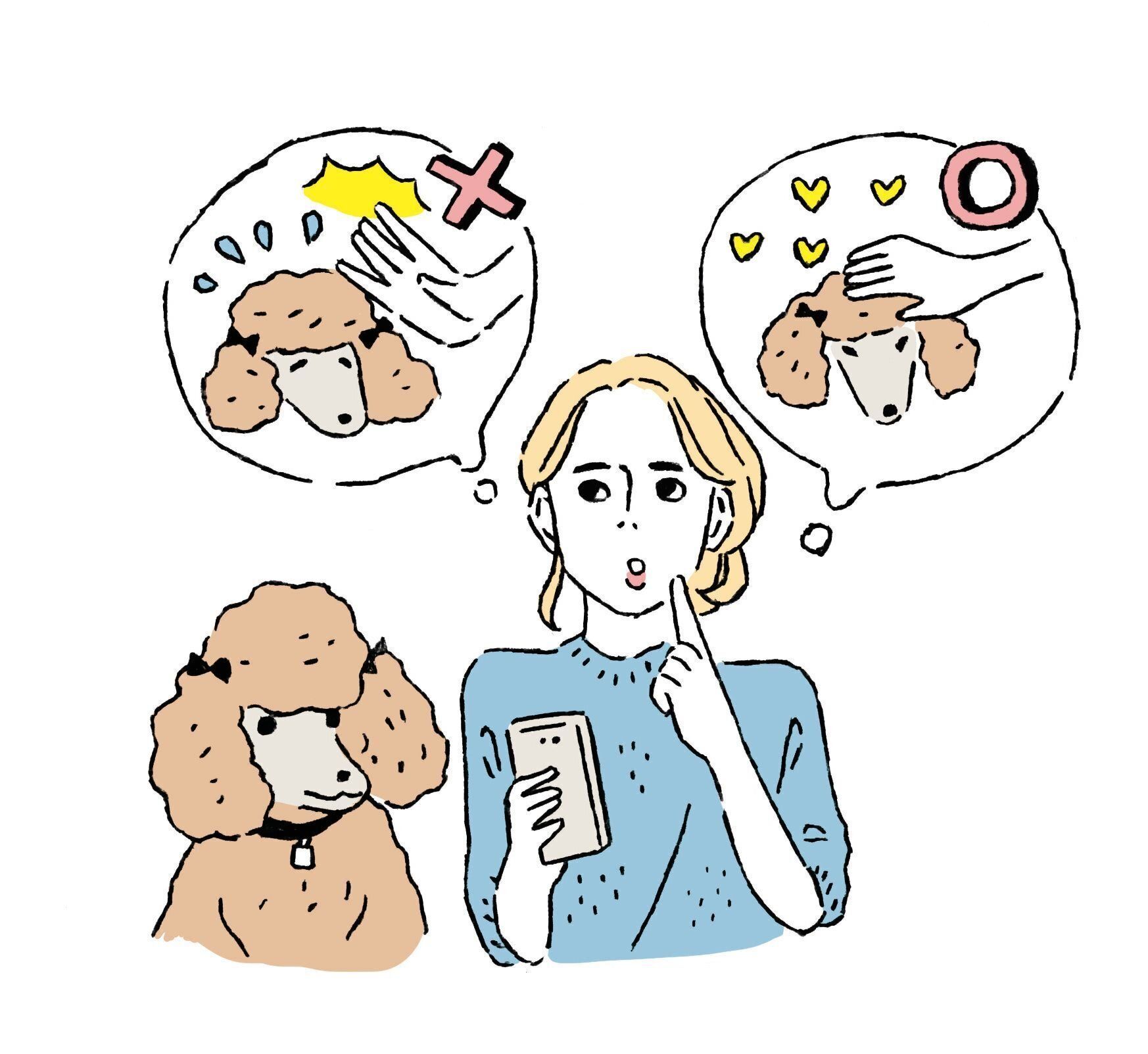 イラスト／Yu Tokumaru