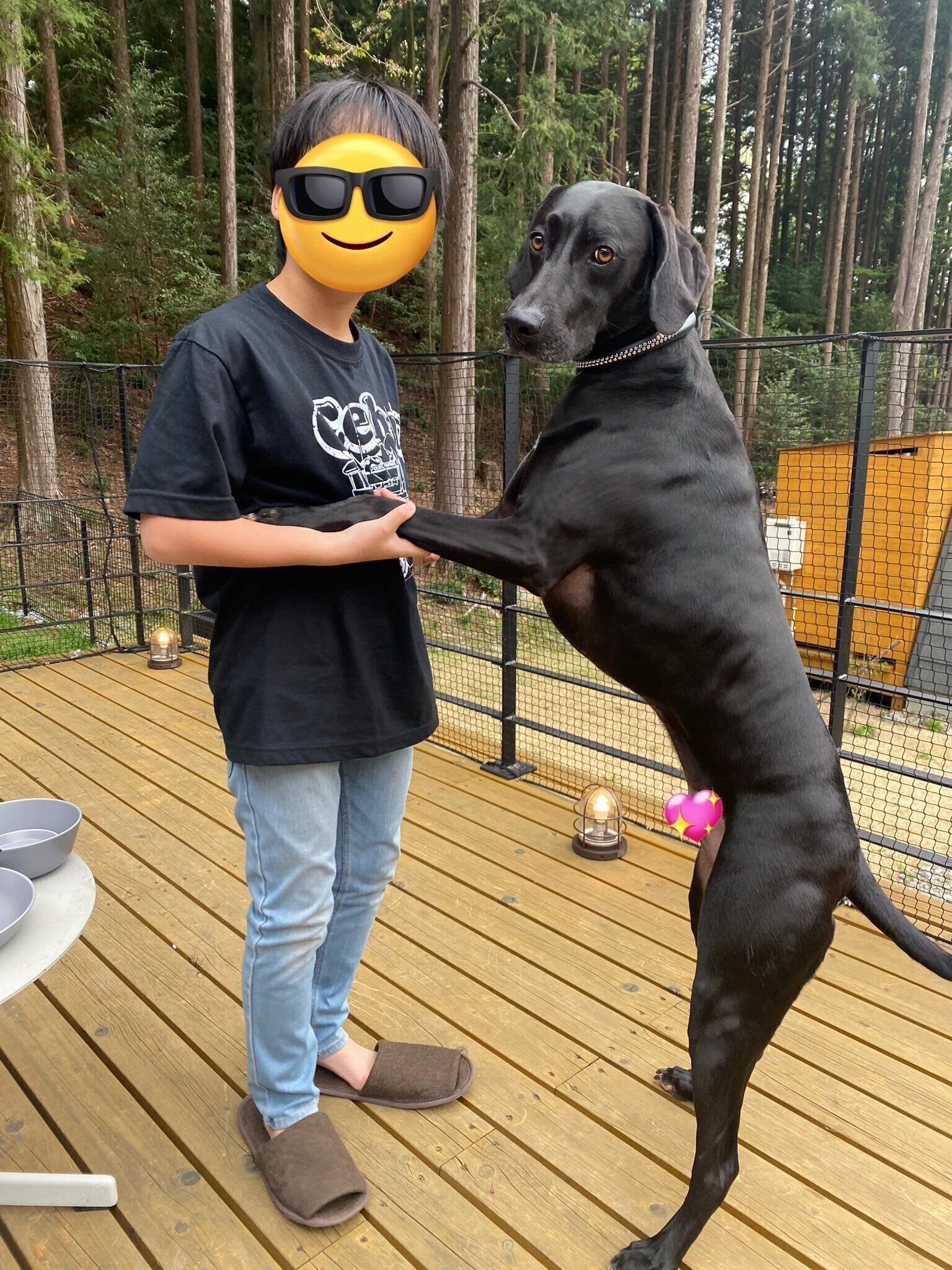 成長後のSOLくん　すっかり大きくなってカッコいい印象に