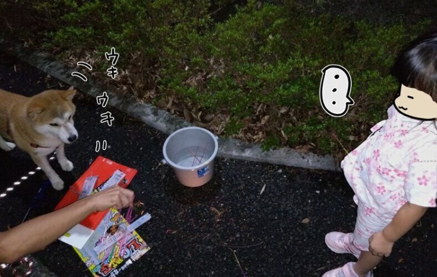 花火にはしゃぎすぎタロさんと大人しすぎ娘 連載 モフモフ柴とプニプニ娘 第132話 いぬのきもちweb Magazine 花火にはしゃぎすぎタロさんと大人しすぎ娘 連載 モフモフ柴とプニプニ娘 第132話 いぬのきもちweb Magazine