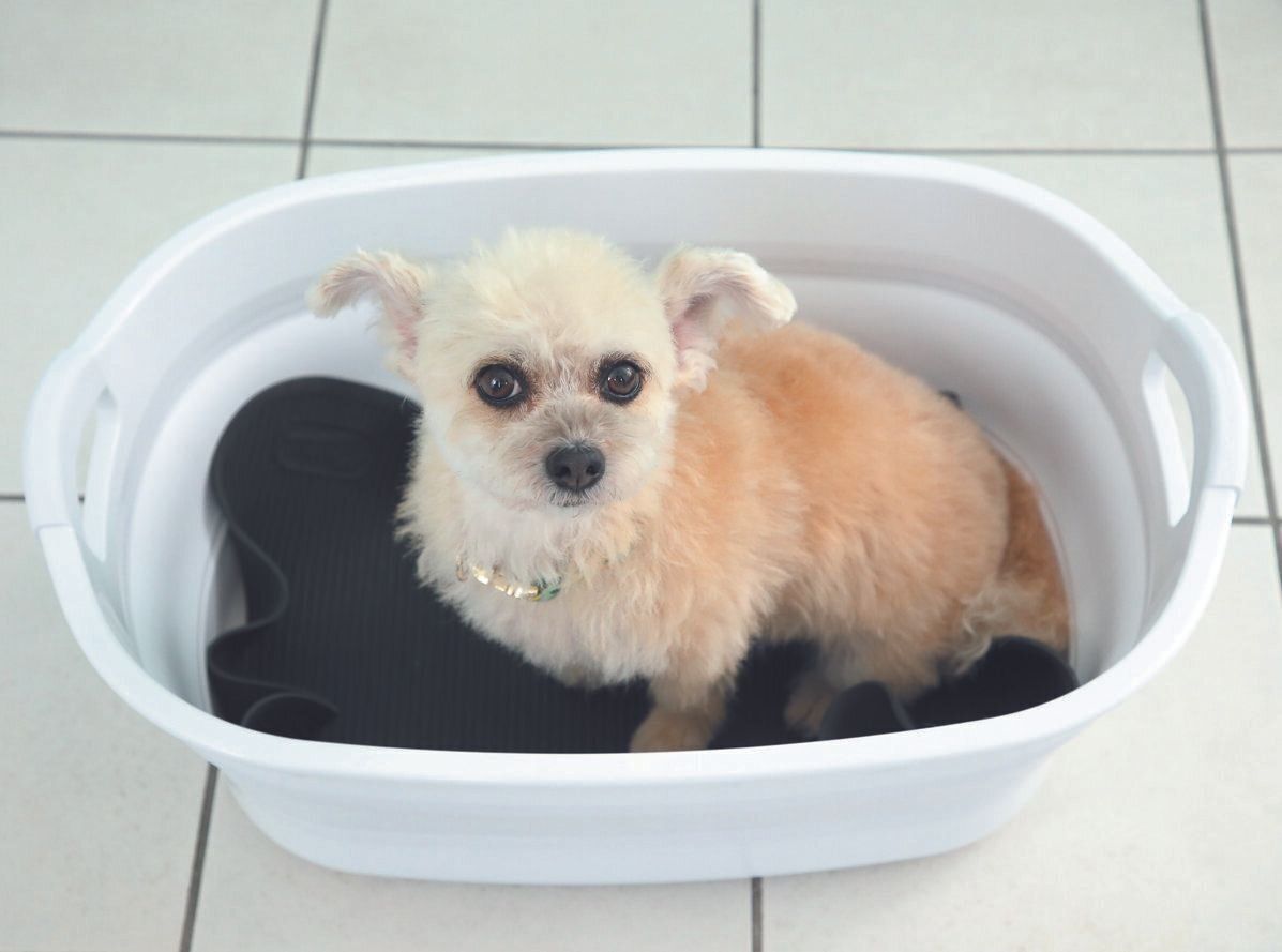 撮影／尾﨑たまき