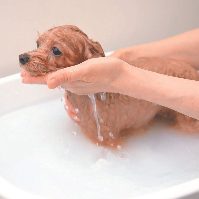 撮影／尾﨑たまき