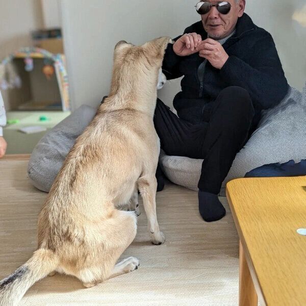 おやつがもらえるのを待つめるちゃん