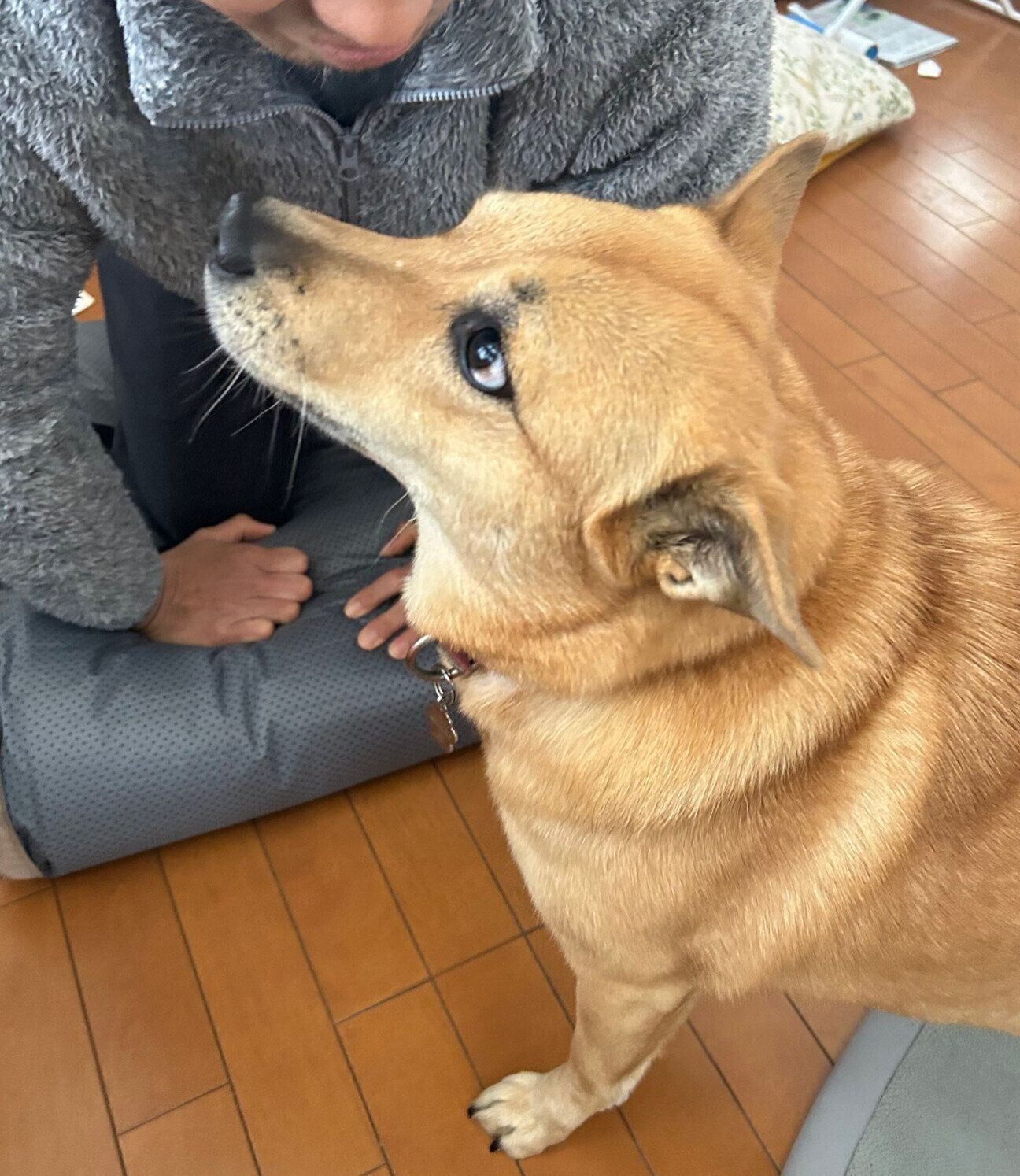 「パパ好き」なころんちゃん