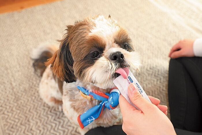 ふだんから慣れさせておくと安心