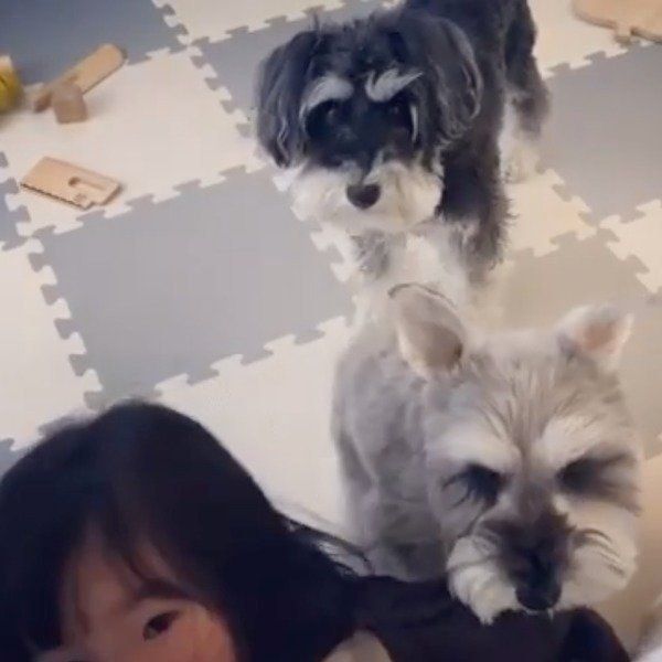 集まってきたジジちゃん・トトちゃん・娘さん