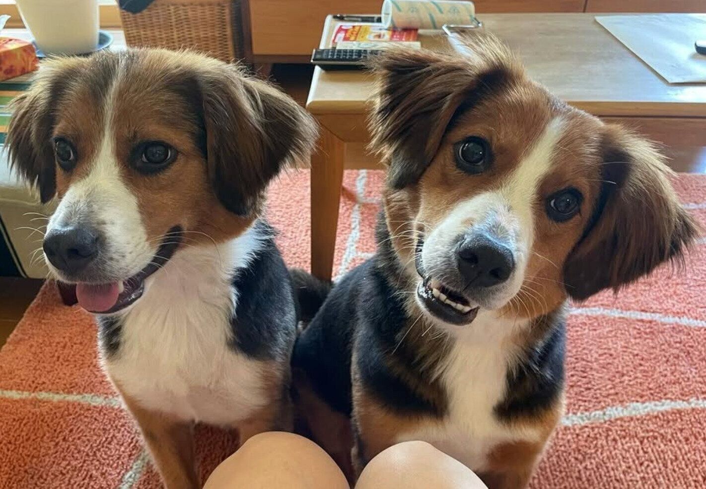 ニコニコするかおるくん、りつくん