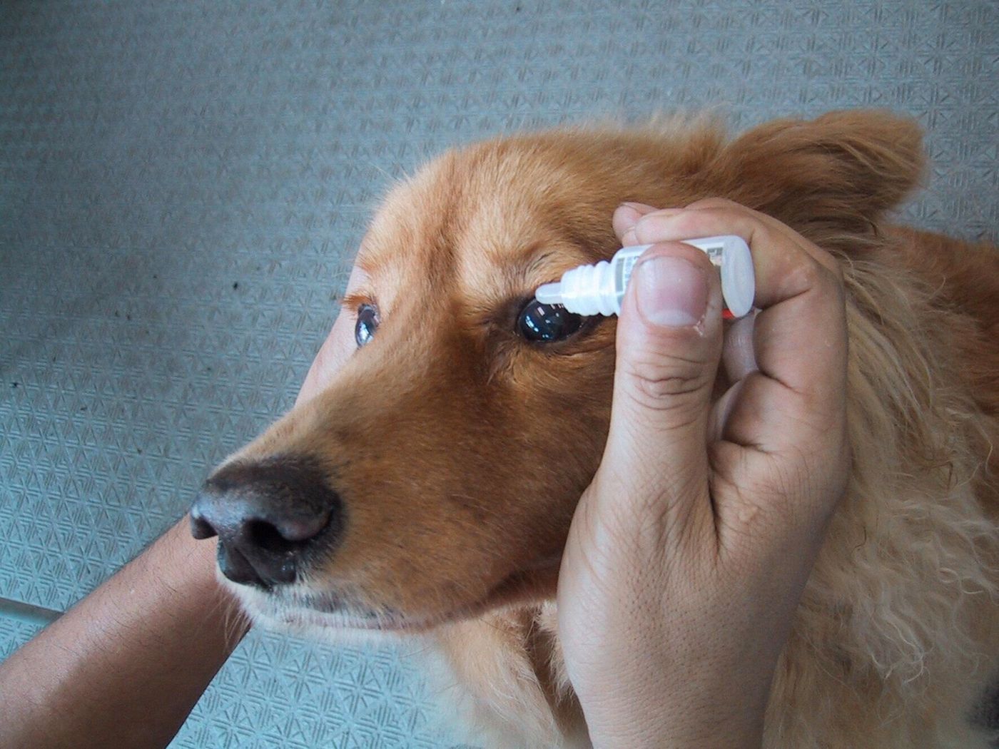 Mirwjf73xq 5xm Mirwjf73xq 5xm