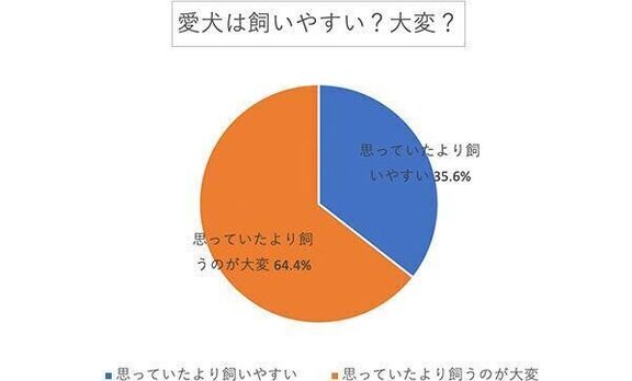 愛犬は飼いやすい? 大変?