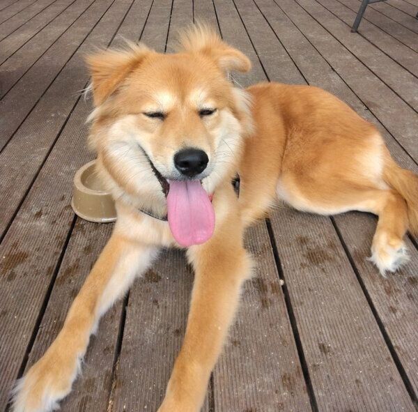 笑顔が可愛いエスちゃん