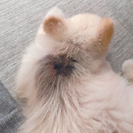 脱毛以外もチェック