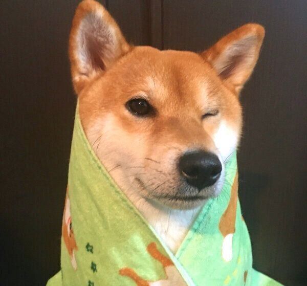 ウインクするゆきちゃん