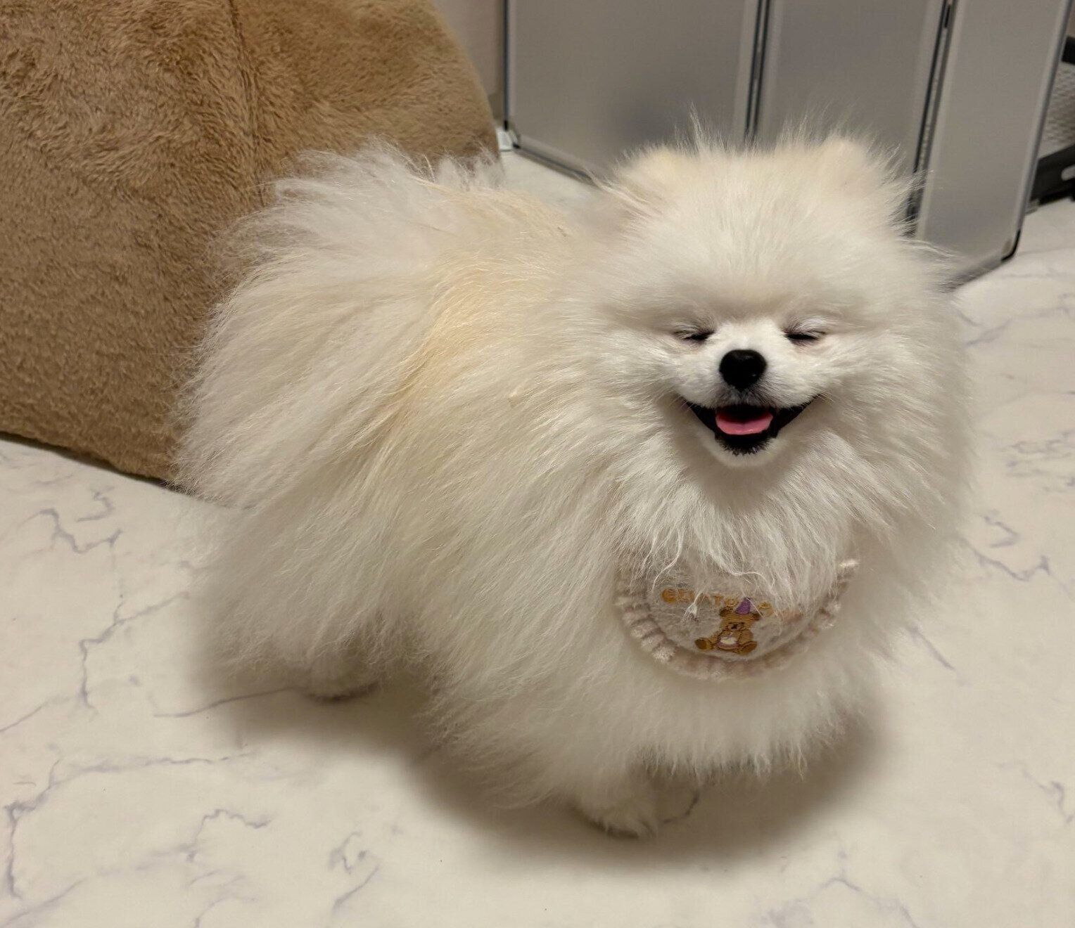 ニコッとするくま太くん