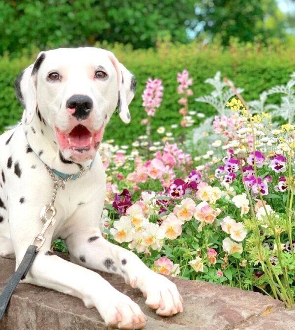 笑顔のリタちゃん